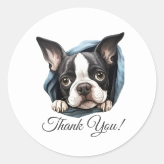 Adesivo Boston Terrier Dog Obrigado