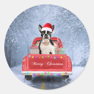 Adesivo Boston Terrier Dog Snow sentada no Caminhão de Na