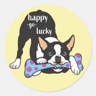 Adesivo Boston Terrier. Feliz, sorte