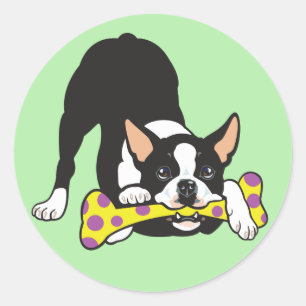 Adesivo Boston Terrier. Feliz, sorte