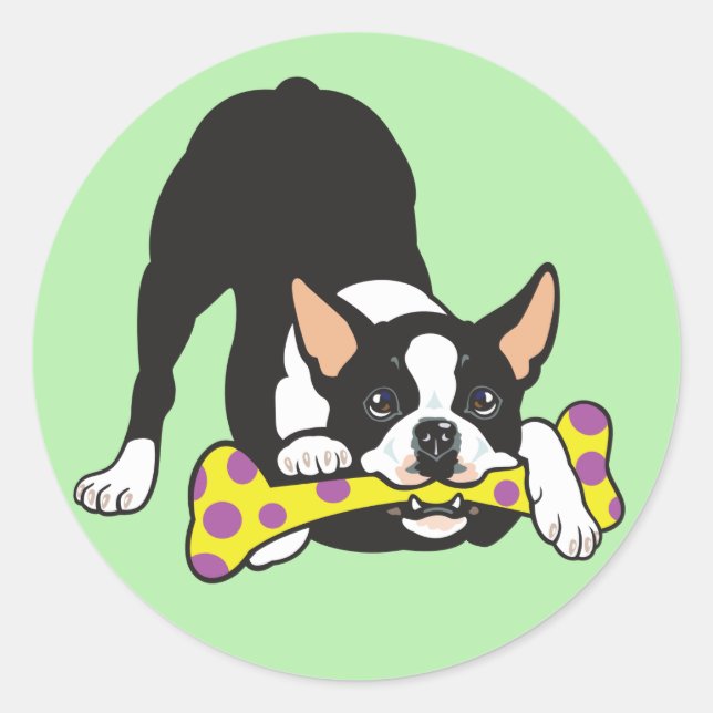 Adesivo Boston Terrier. Feliz, sorte (Frente)
