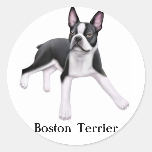 Adesivo Boston Terrier Sticker (Frente)