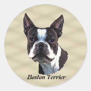Adesivo Boston Terrier v3