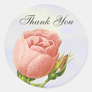 Adesivo Botânico Obrigado, Pink Rosebud Sticker