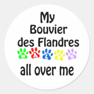 Adesivo Bouvier des Flandres Walks Design