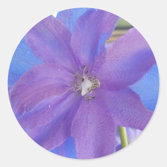 Adesivo Bowen (Frente)