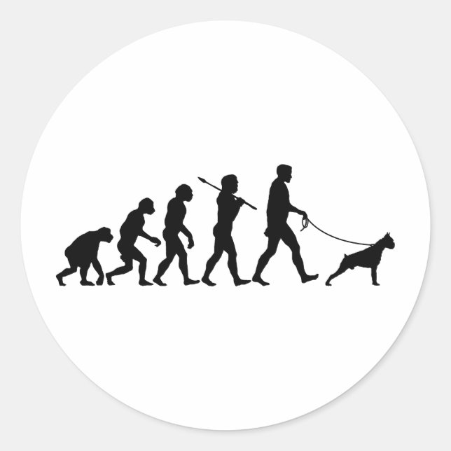 Adesivo Boxer (Frente)