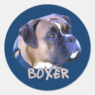 Adesivo Boxer Dog