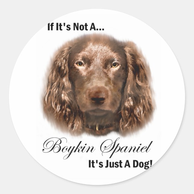Adesivo Boykin Spaniel Gifts (Frente)