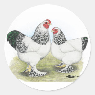 Adesivo Brahma:  Light2