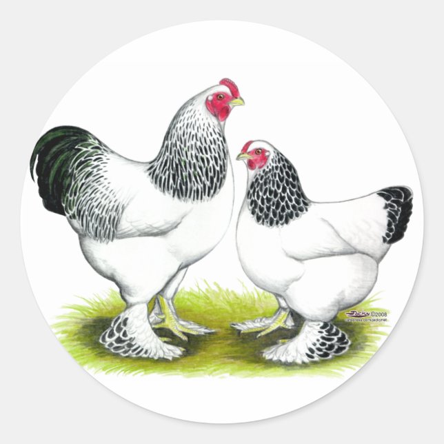 Adesivo Brahma: Luz (Frente)