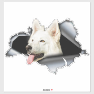Adesivo branco da Pomerânia, decalque do carro, Po