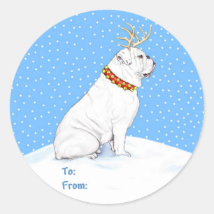 Adesivo Branco da rena do Natal do buldogue