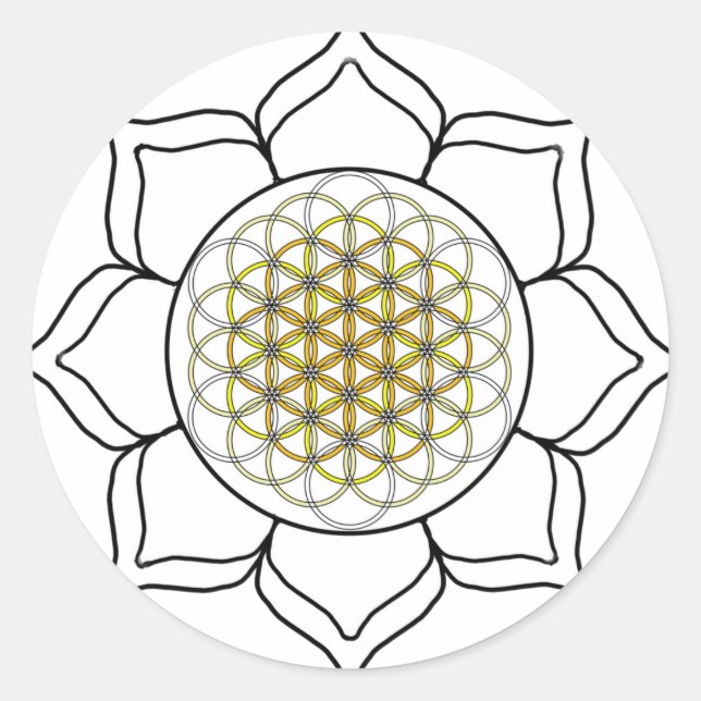 Adesivo Branco de Lotus2 (Frente)