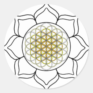 Adesivo Branco de Lotus2