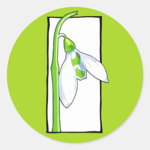 Adesivo branco de neve