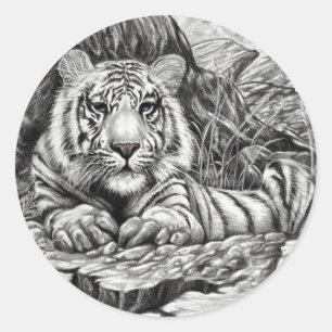 Adesivo BRANCO TIGER por Diana S Martin