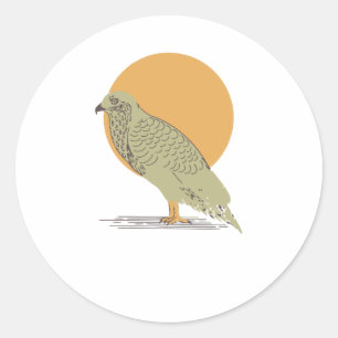 Adesivo Brave Buzzard