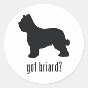Adesivo Briard