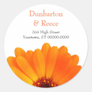 Adesivo Bright Daisy Stickers