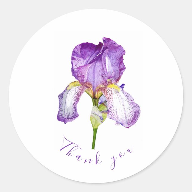 Adesivo Bright Purple Iris Obrigado Clássico Round Sticker (Frente)