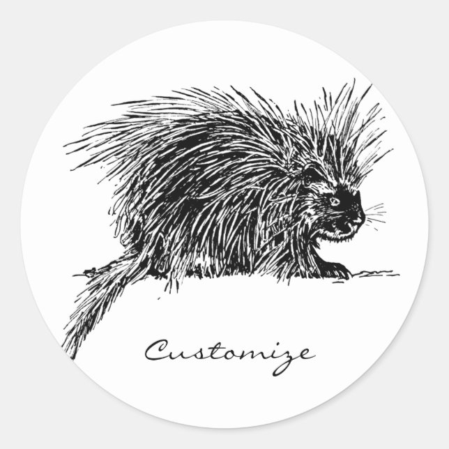 Adesivo Brilhante Hedgehog Thunder_Cove (Frente)