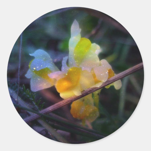 Adesivo Brilho Linaria (Frente)