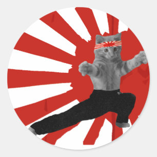 Adesivo Brincadeiras de Karate Kitten