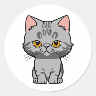 Adesivo British Shorthair