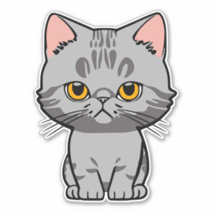 Adesivo British Shorthair