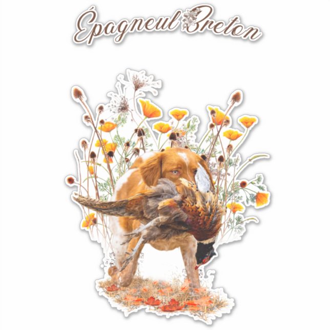 Adesivo Brittany Spaniel, Caçando Pheasant Sticker (Frente)
