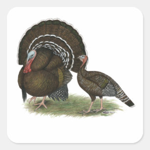 Adesivo Bronze padrão da Turquia