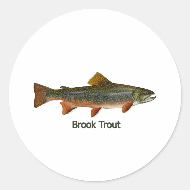Adesivo Brook Trout (com título) (Frente)