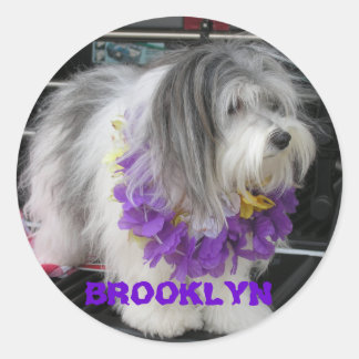 ADESIVO BROOKLYN PURPER HAWAII STICKERS