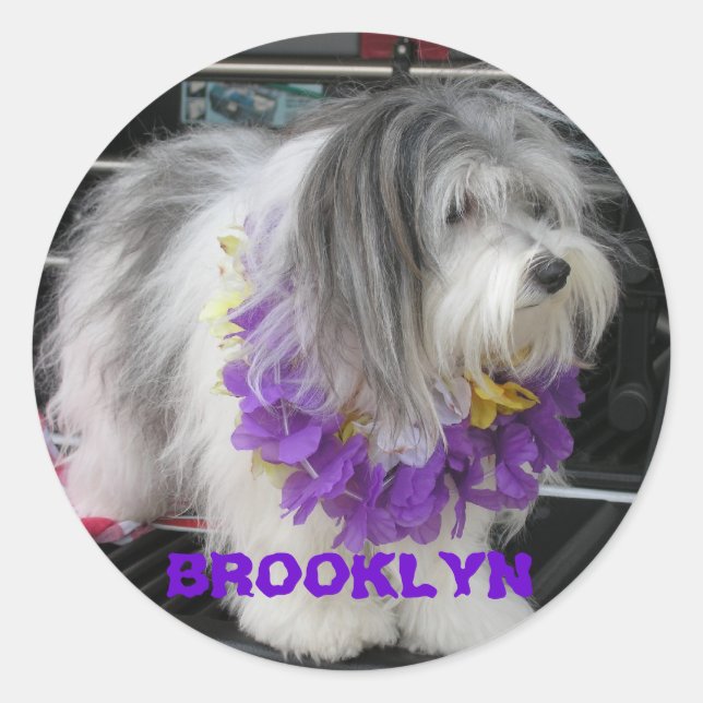 ADESIVO BROOKLYN PURPER HAWAII STICKERS (Frente)