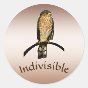 Adesivo Brown Hawk Indivisíveis Stickers