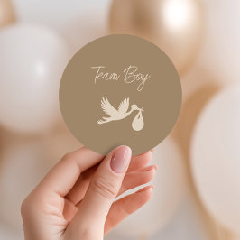 Adesivo Brown Stork Baby Delivery Gender Reveal Team Boy
