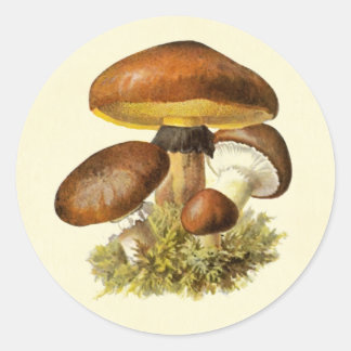 Adesivo Brown Vintage Mushroom