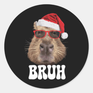Adesivo Bruh Capybyra Funny Santa Hábito Boné de Natal