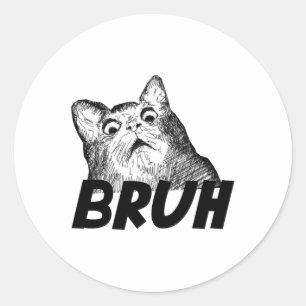 Adesivo Bruh Chocou Gato Gato Engraçado