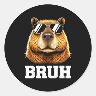 Adesivo Bruh meme de capivara engraçado energia tranquila
