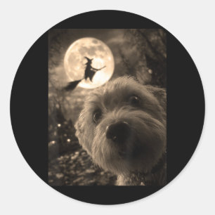 Adesivo Bruxa Maltesa Engraçada Voando Lua Cheia Selfie