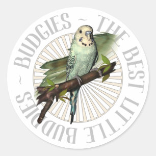 Adesivo Budgies os melhores amigos pequenos