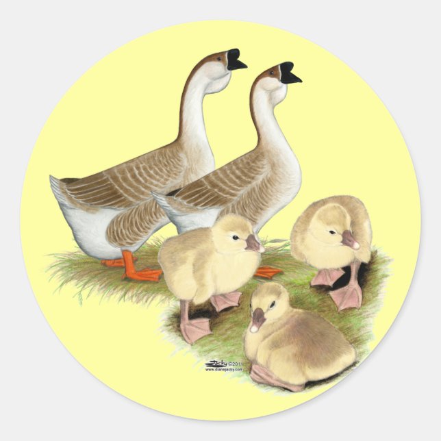 Adesivo Buff African Goose Family (Frente)