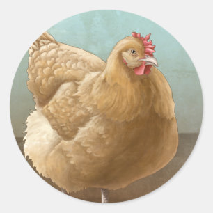 Adesivo Buff Orpington Hen Stickers