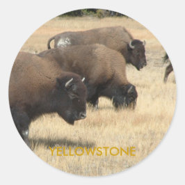 Adesivo Buffalo Yellowstone Sticker