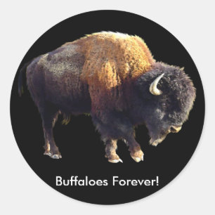 Adesivo Buffalos Para Sempre! Bison Lover Art Stickers
