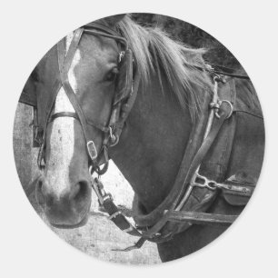 Adesivo Buggy Horse no Posto Hitching