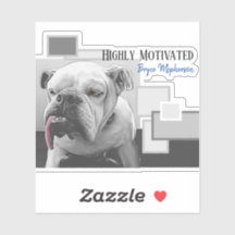 Buldogue altamente motivado