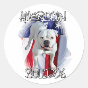 Adesivo Buldogue americano